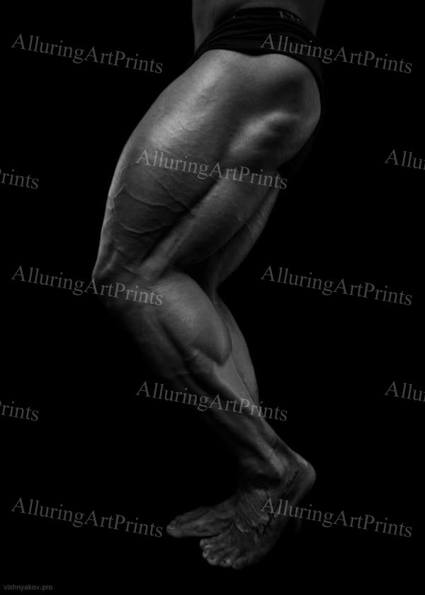 Nude Male Model Muscular Buns Digital Art AI Fantasy - 5604B