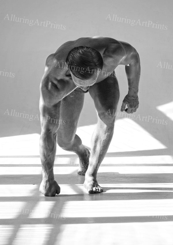 Male Model Muscular - 895C