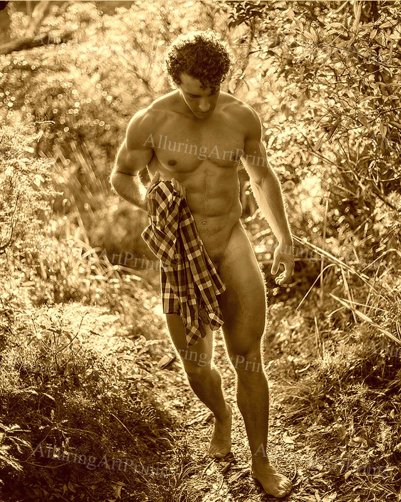 Nude Male Model Muscular - 371D