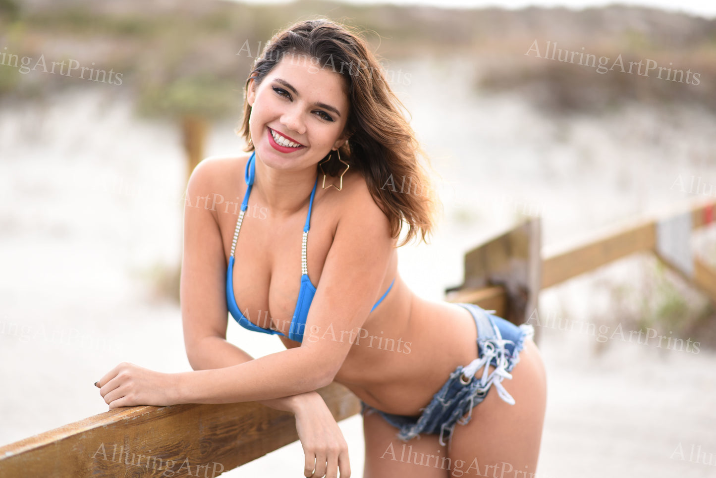 Risque Brunette Model - HH572