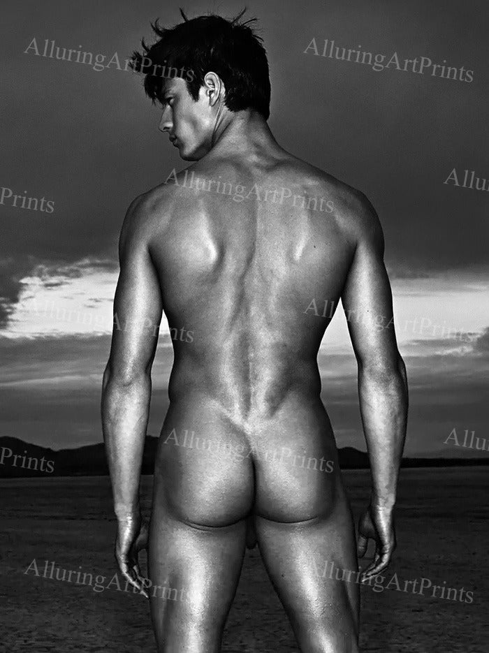 Nude Male Model Muscular - UU1398