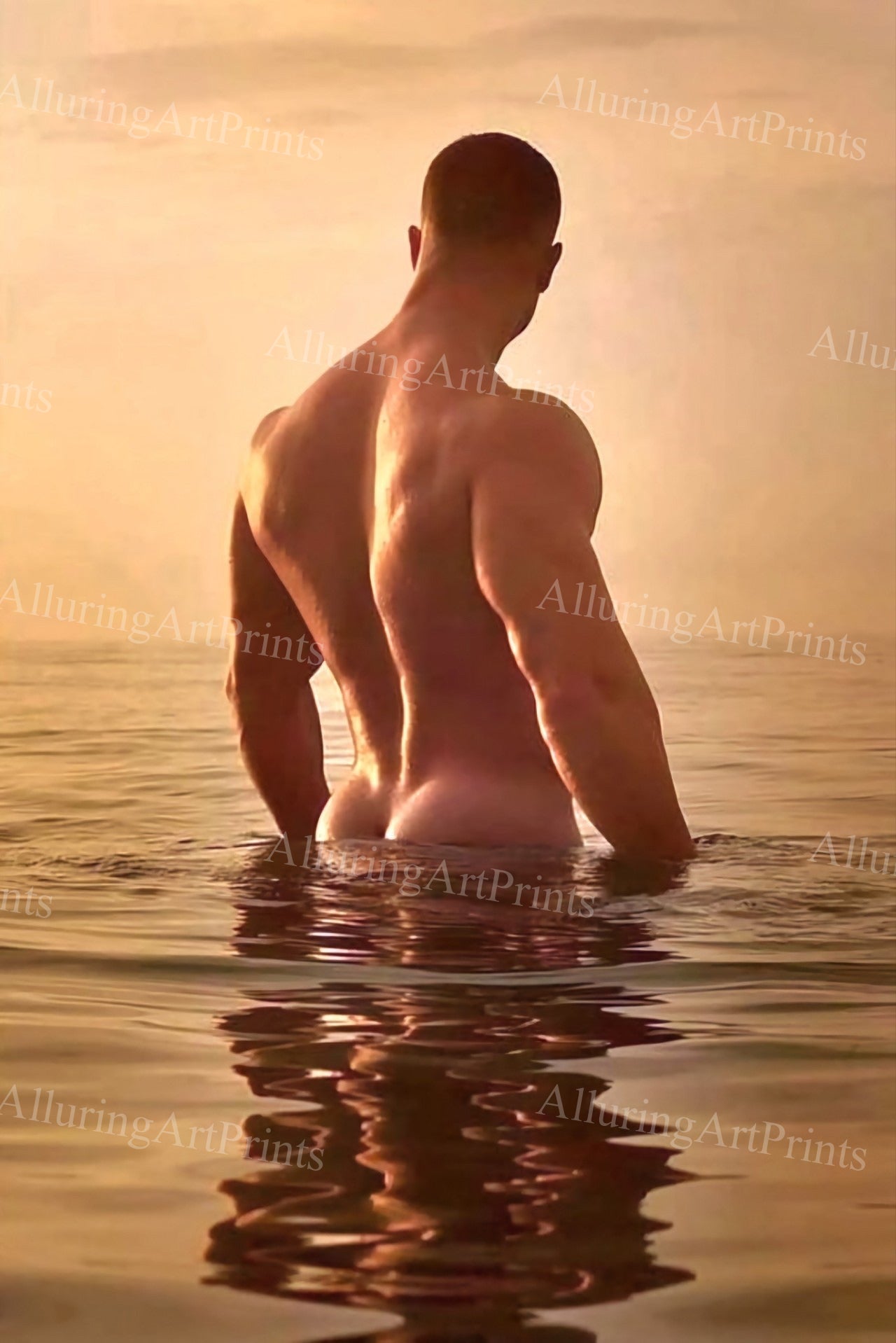 Nude Male Model Muscular - UU1425