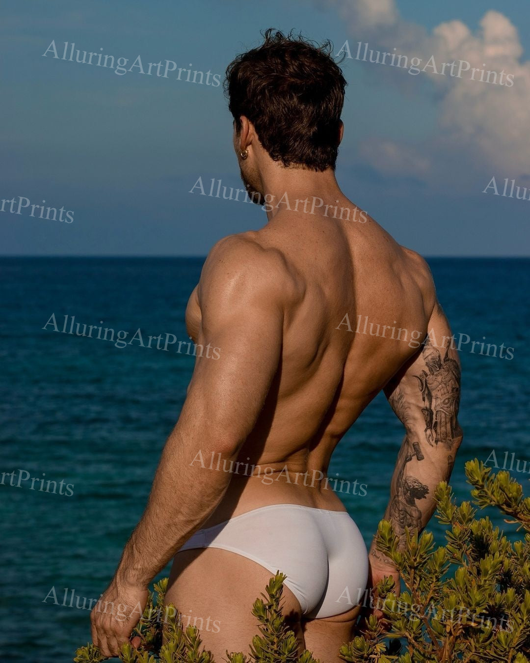 Male Model Muscular - UU1505