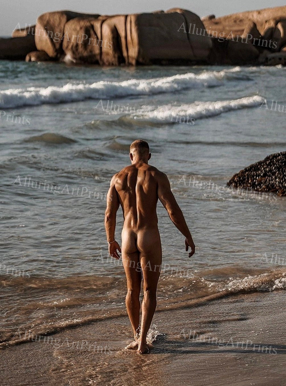 Nude Male Model Muscular - UU1516