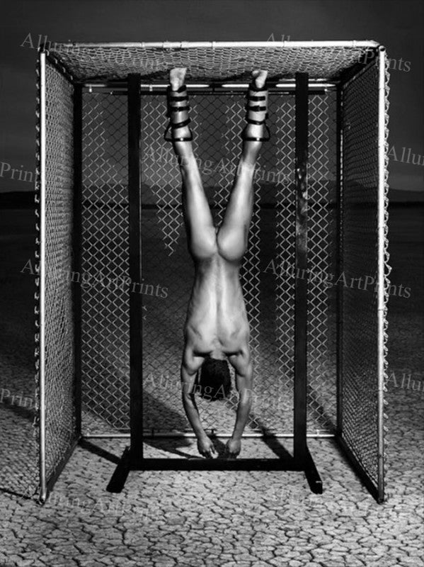 Nude Male Model Muscular - UU1570