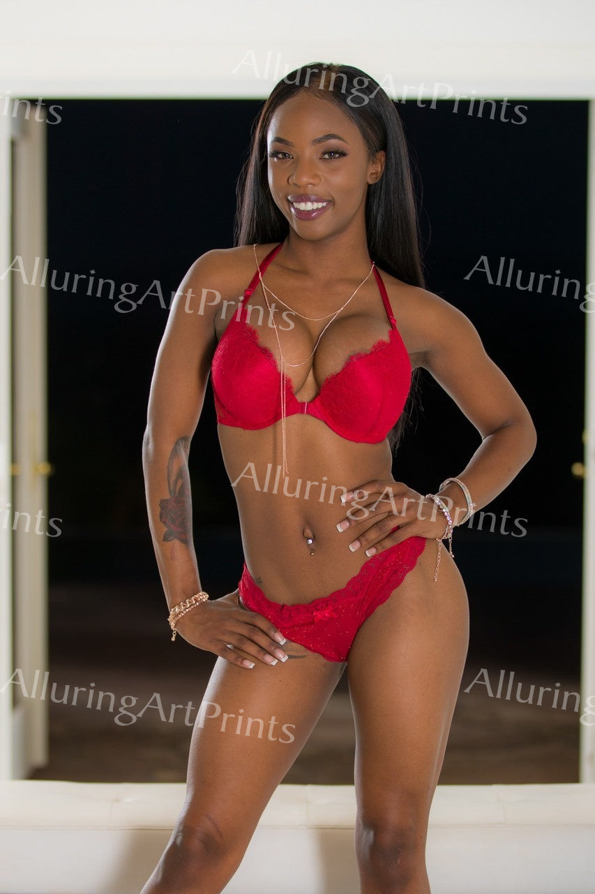 Risque Sarah Banks Black Model Print Pretty Woman Petite Exotic Busty Boobs Butt Tattoo Lingerie Hot Fine Wall Art J159