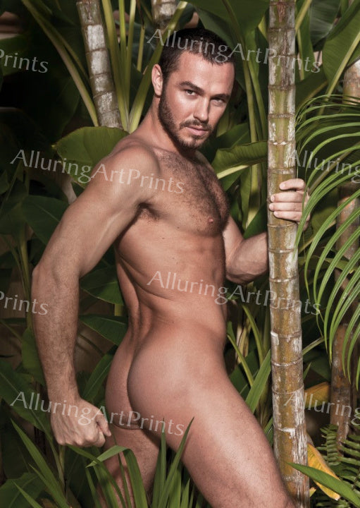 Jessy Ares Male Model Buns - N864