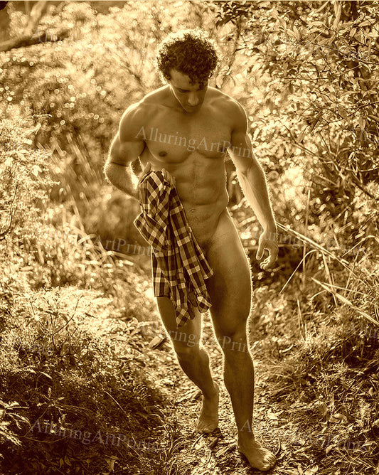 Nude Male Model Muscular - 371D
