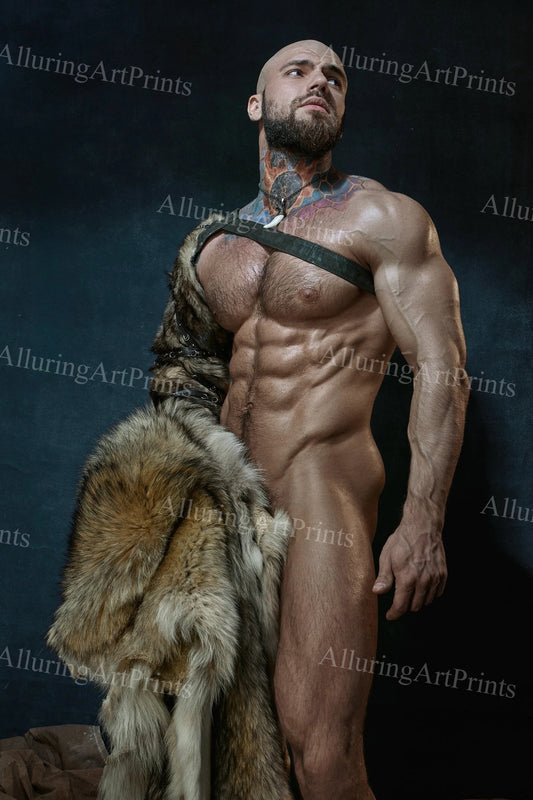 Male Model Muscular - 719D