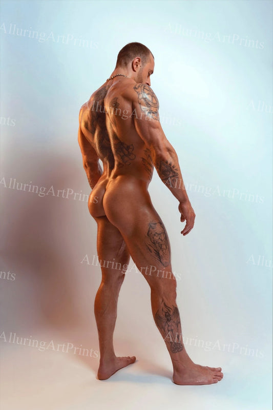 Male Model Muscular - 726D