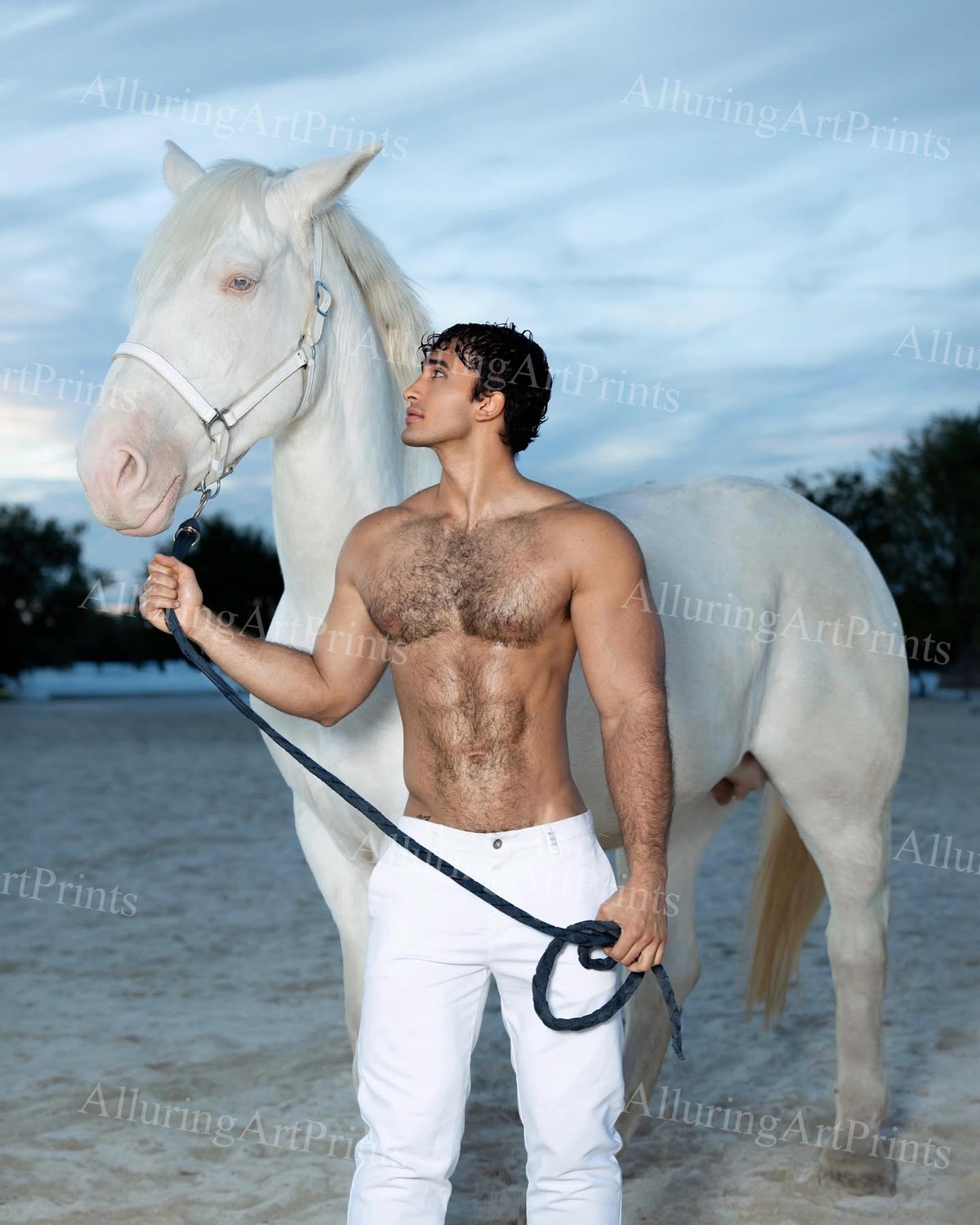 Male Model Muscular - H522