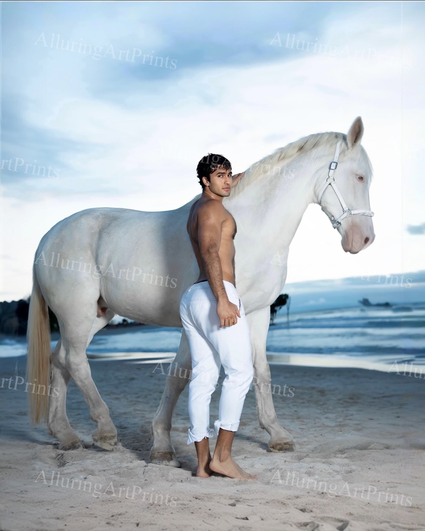 Male Model Muscular - H527