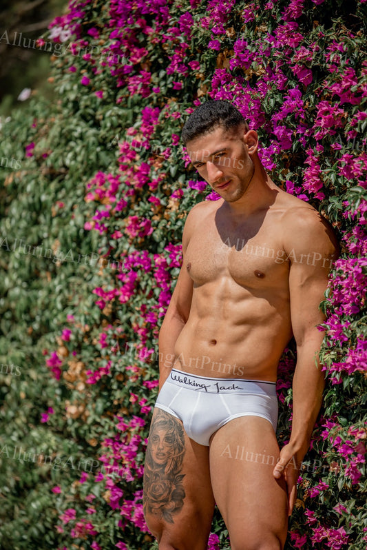 Male Model Muscular - H683