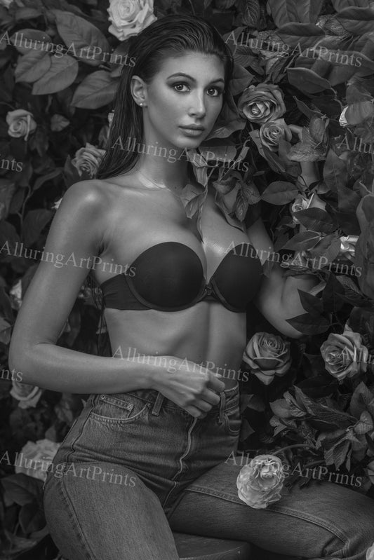 Risque Brunette Model - HH580