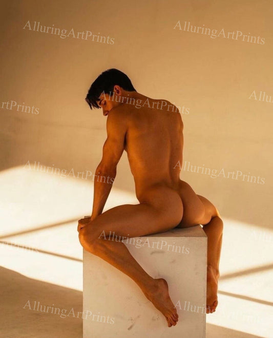 Nude Male Model Muscular - UU1565