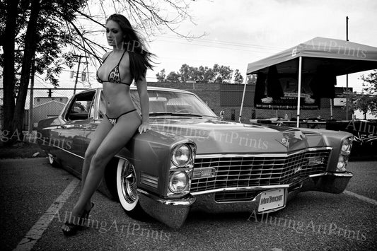 Risque Brunette Model Black & White - L526