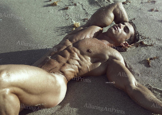 Male Model Muscular - N1107
